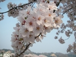 080422.jpg