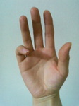 P1000111.jpg