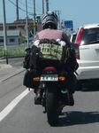 rider.jpg