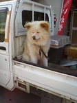 wasao.jpg